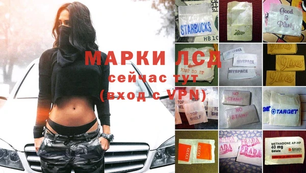 стафф Медногорск