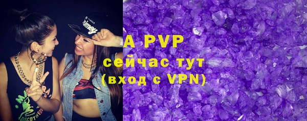стафф Медногорск
