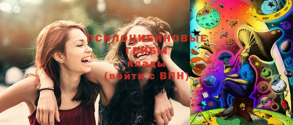 стафф Медногорск