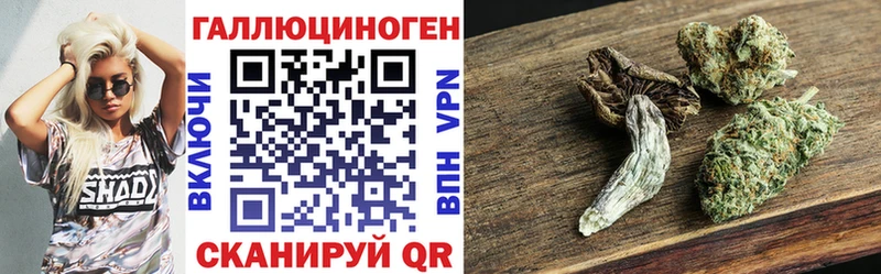 Псилоцибиновые грибы мицелий  Стерлитамак 